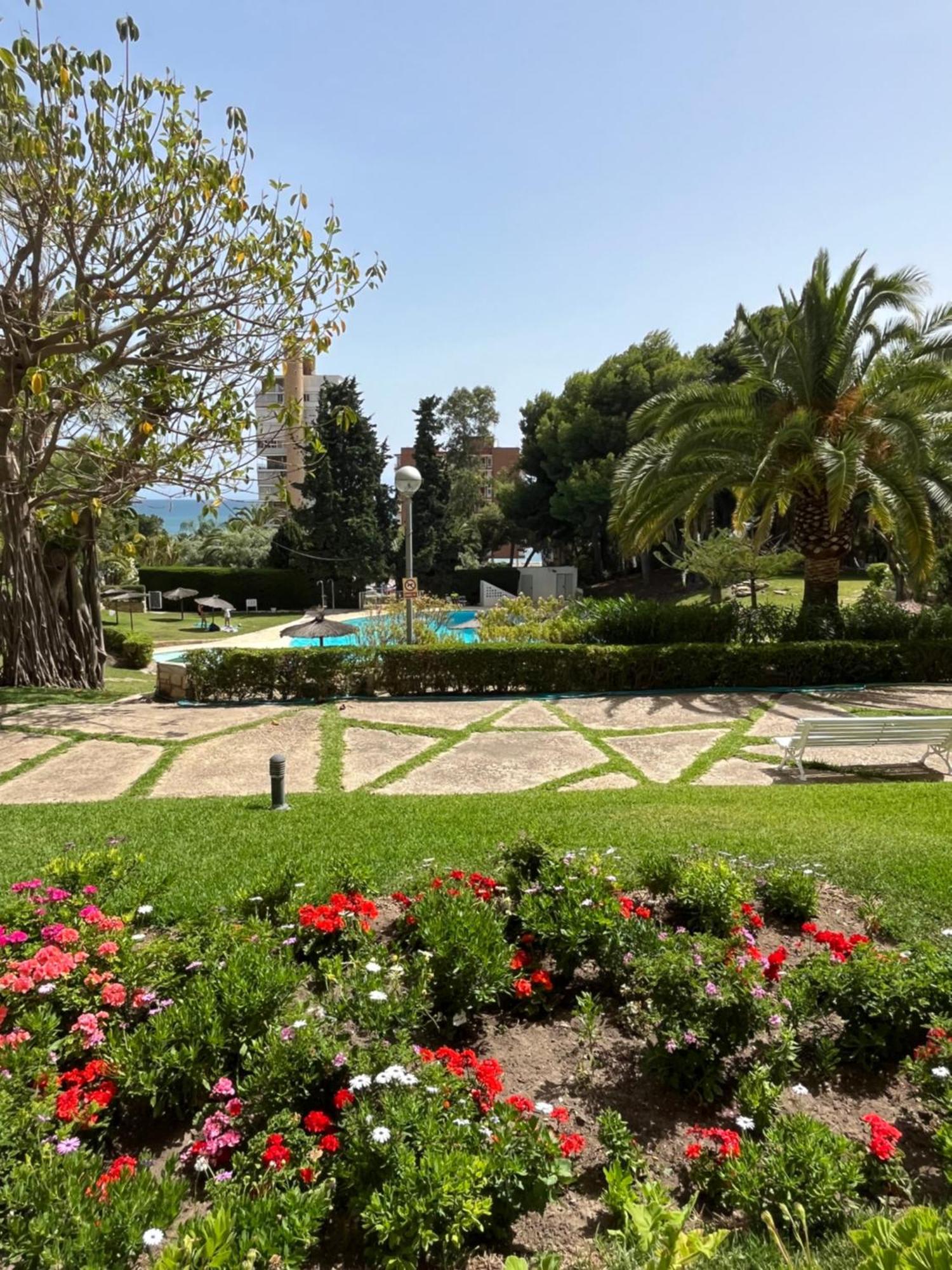 Parque La Chicharra Near Alicante And Beach 외부 사진