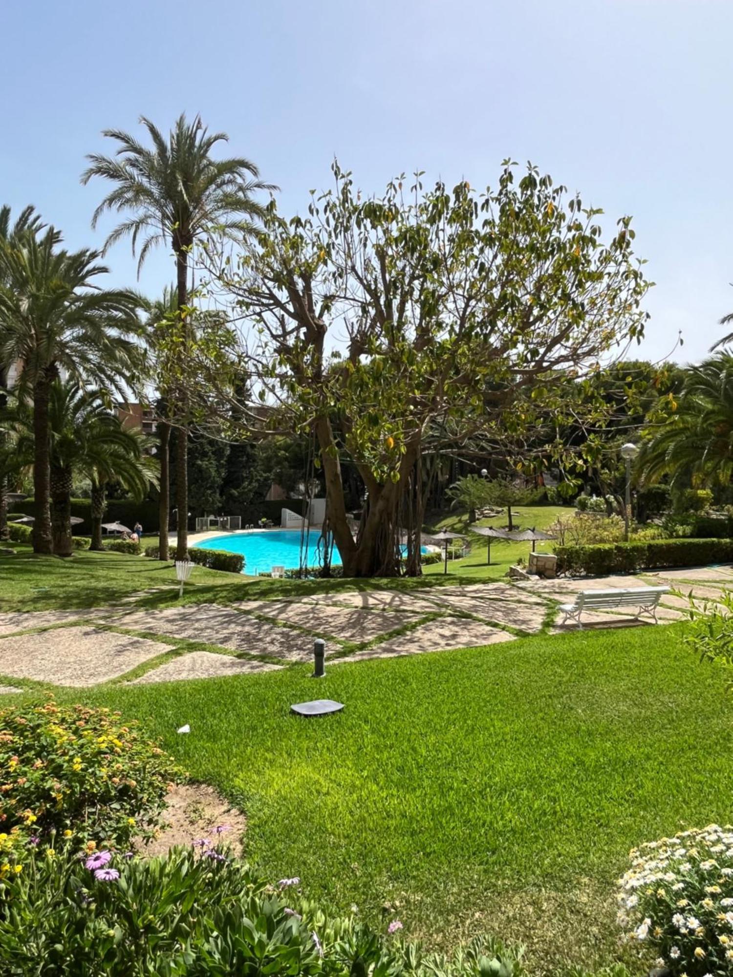 Parque La Chicharra Near Alicante And Beach 외부 사진